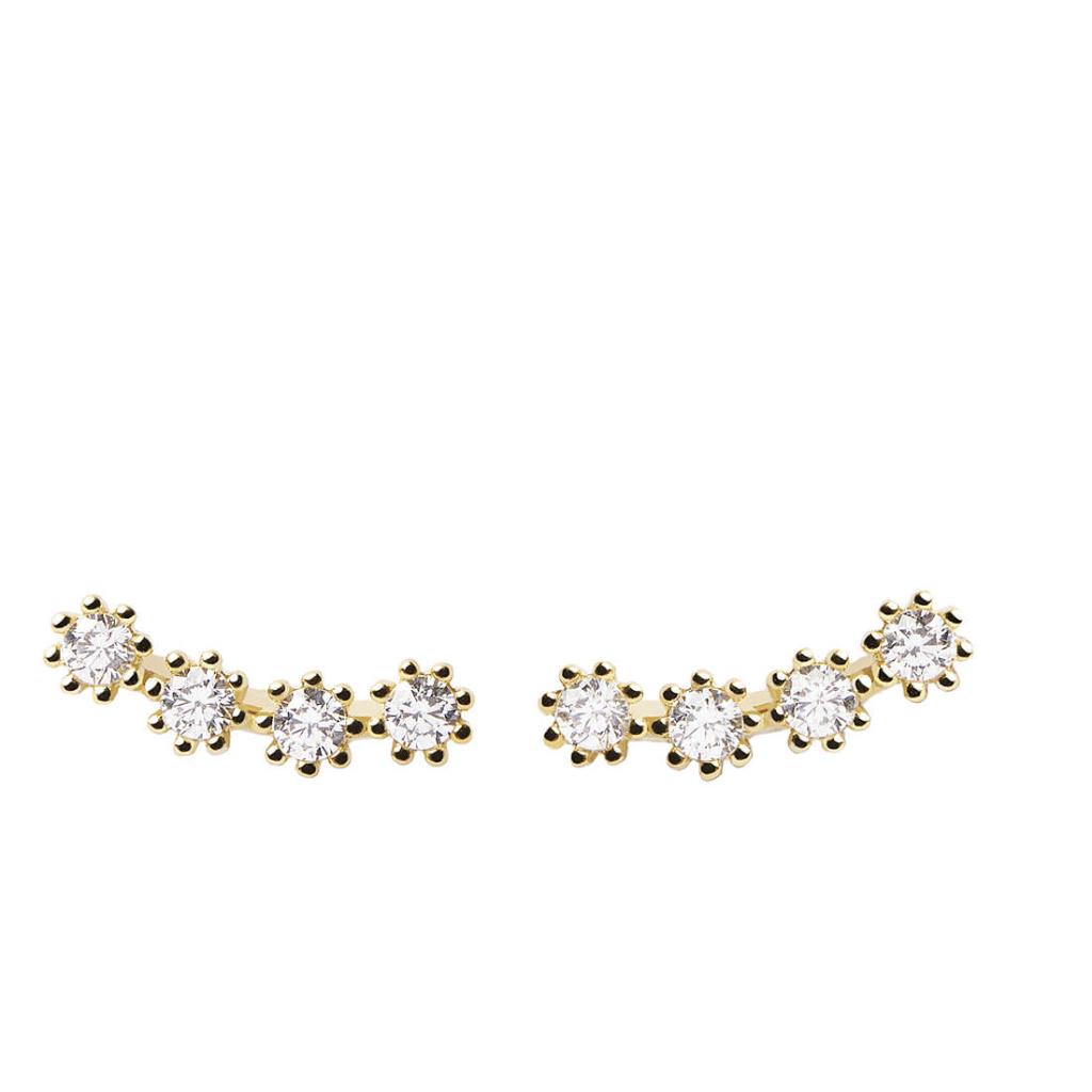 ORECCHINI PDPAOLA MOTION - P D PAOLA