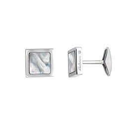 GEMELLI NUVOLARI - SALVINI