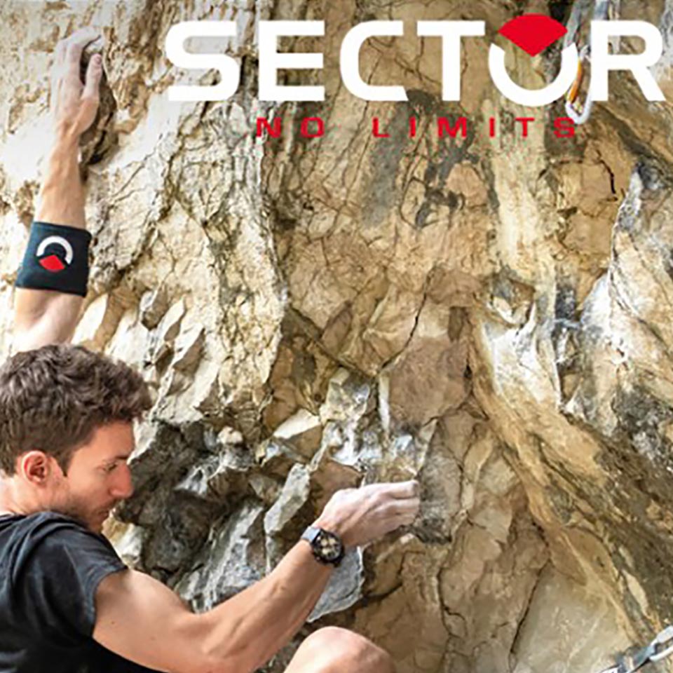 SECTOR